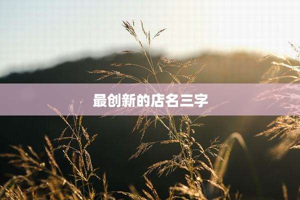 最创新的店名三字