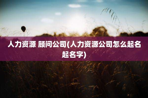 人力资源 顾问公司(人力资源公司怎么起名起名字)