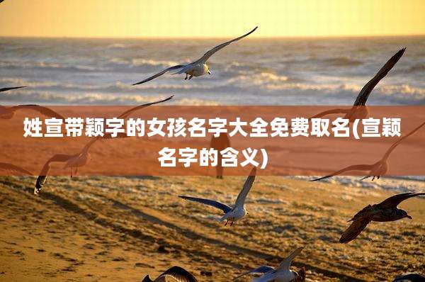 姓宣带颖字的女孩名字大全免费取名(宣颖名字的含义)