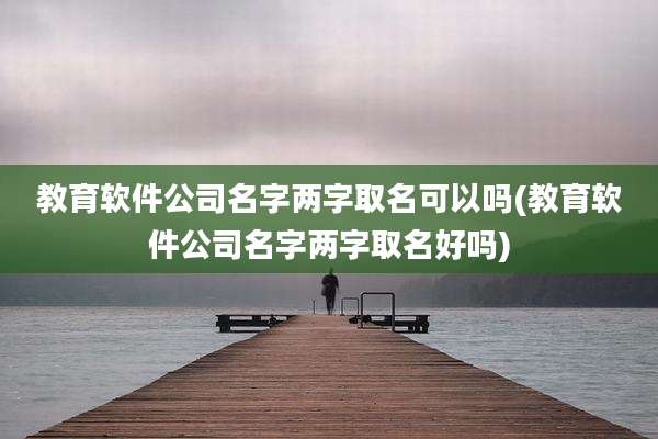 教育软件公司名字两字取名可以吗(教育软件公司名字两字取名好吗)