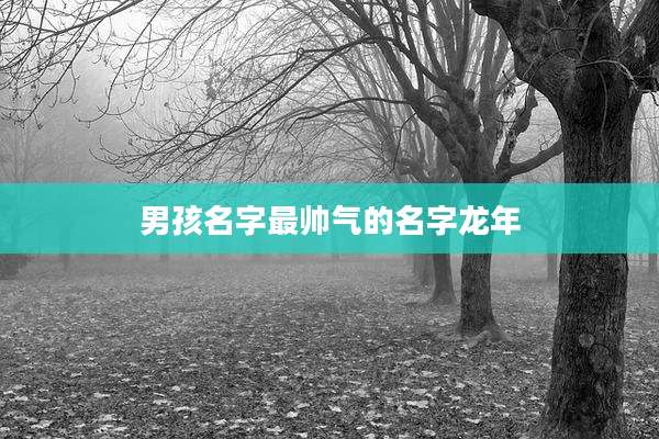 男孩名字最帅气的名字龙年