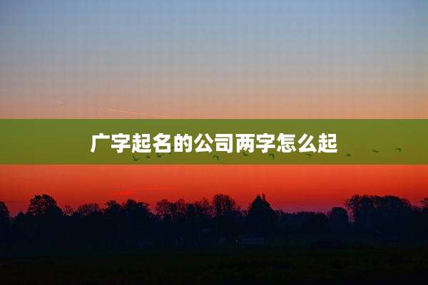 广字起名的公司两字怎么起