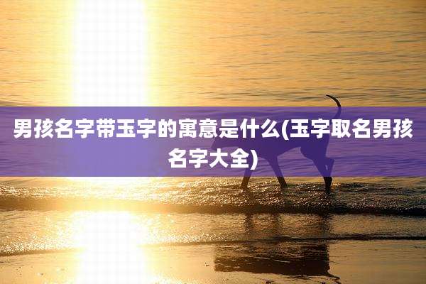 男孩名字带玉字的寓意是什么(玉字取名男孩名字大全)