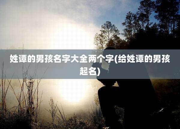 姓谭的男孩名字大全两个字(给姓谭的男孩起名)