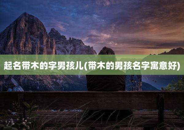 起名带木的字男孩儿(带木的男孩名字寓意好)