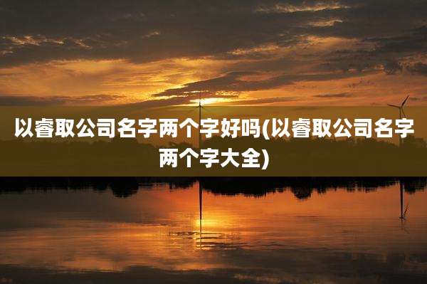 以睿取公司名字两个字好吗(以睿取公司名字两个字大全)