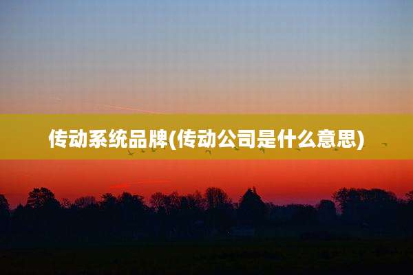 传动系统品牌(传动公司是什么意思)