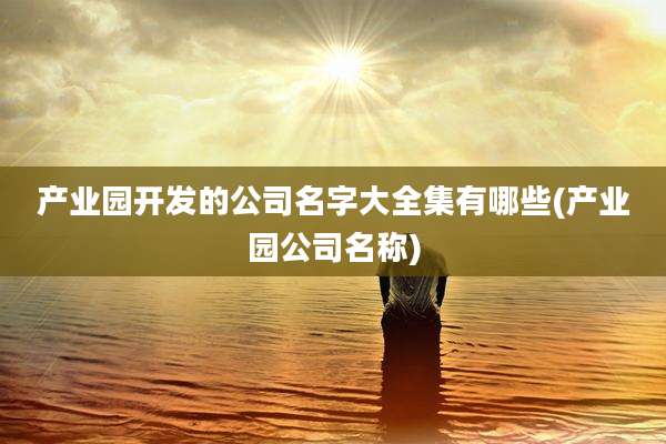 产业园开发的公司名字大全集有哪些(产业园公司名称)