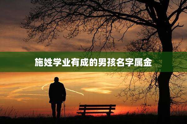 施姓学业有成的男孩名字属金