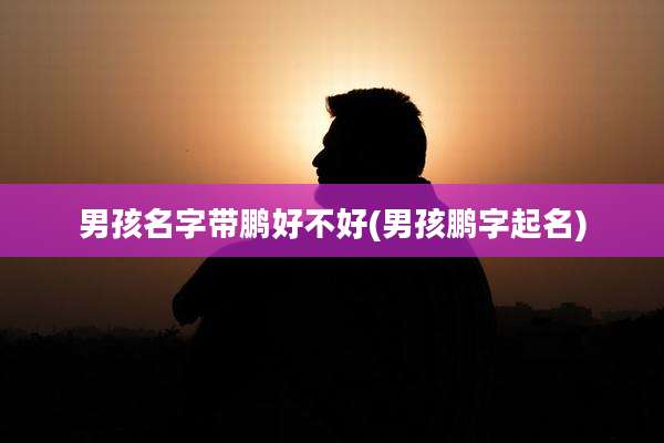 男孩名字带鹏好不好(男孩鹏字起名)