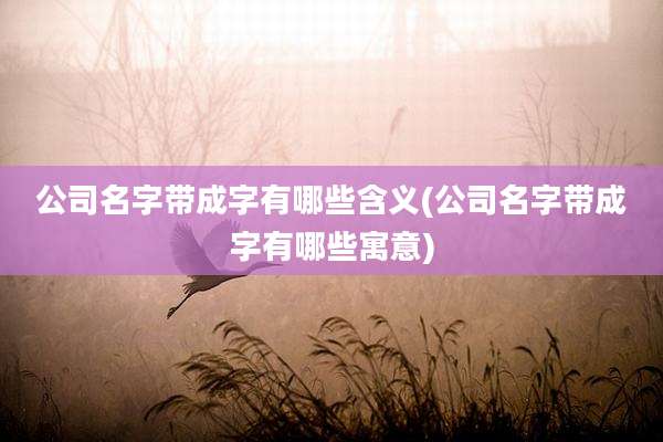 公司名字带成字有哪些含义(公司名字带成字有哪些寓意)