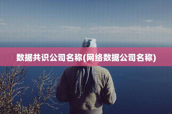 数据共识公司名称(网络数据公司名称)