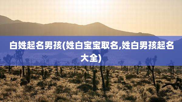 白姓起名男孩(姓白宝宝取名,姓白男孩起名大全)
