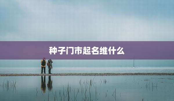 种子门市起名维什么