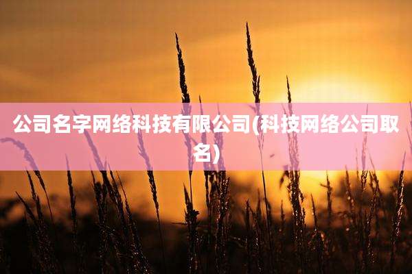 公司名字网络科技有限公司(科技网络公司取名)