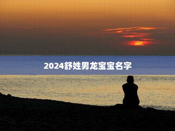 2024舒姓男龙宝宝名字