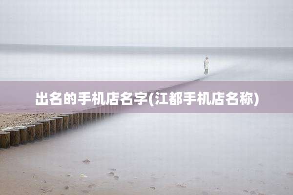 出名的手机店名字(江都手机店名称)