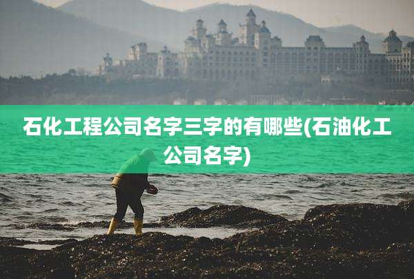 石化工程公司名字三字的有哪些(石油化工公司名字)