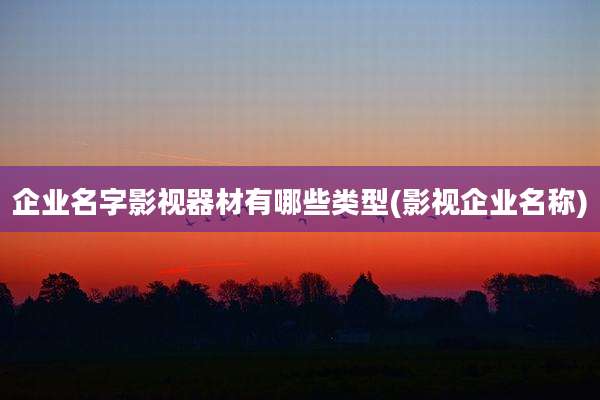 企业名字影视器材有哪些类型(影视企业名称)