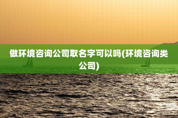 做环境咨询公司取名字可以吗(环境咨询类公司)