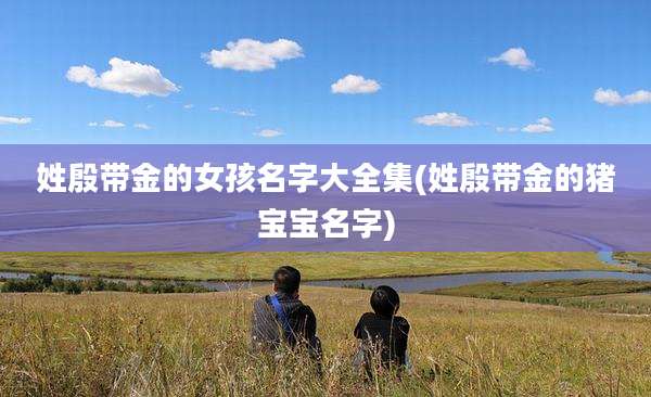 姓殷带金的女孩名字大全集(姓殷带金的猪宝宝名字)
