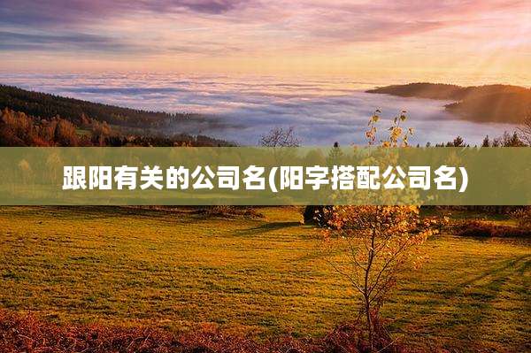 跟阳有关的公司名(阳字搭配公司名)