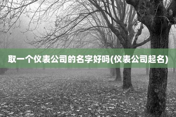 取一个仪表公司的名字好吗(仪表公司起名)