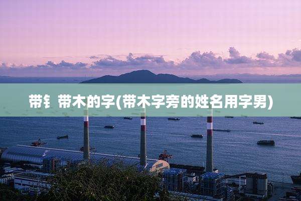 带钅带木的字(带木字旁的姓名用字男)