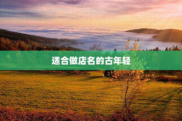 适合做店名的古年轻