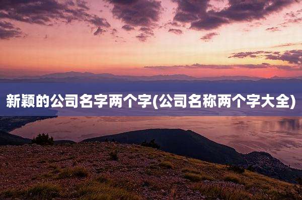 新颖的公司名字两个字(公司名称两个字大全)