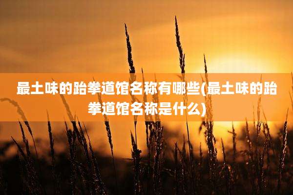 最土味的跆拳道馆名称有哪些(最土味的跆拳道馆名称是什么)