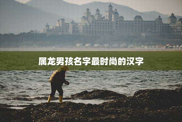 属龙男孩名字最时尚的汉字