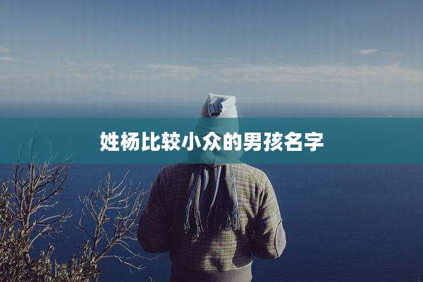 姓杨比较小众的男孩名字