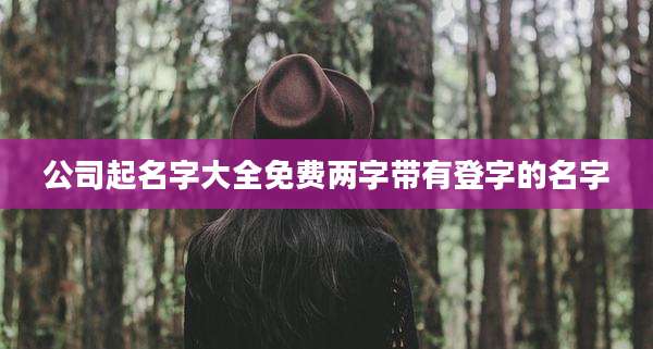 公司起名字大全免费两字带有登字的名字