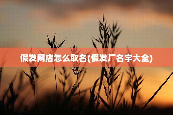 假发网店怎么取名(假发厂名字大全)