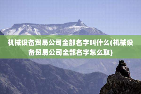 机械设备贸易公司全部名字叫什么(机械设备贸易公司全部名字怎么取)