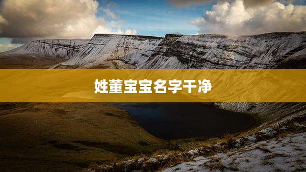 姓董宝宝名字干净