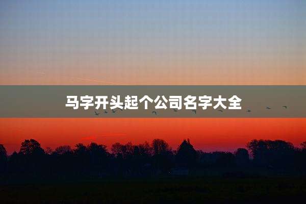 马字开头起个公司名字大全