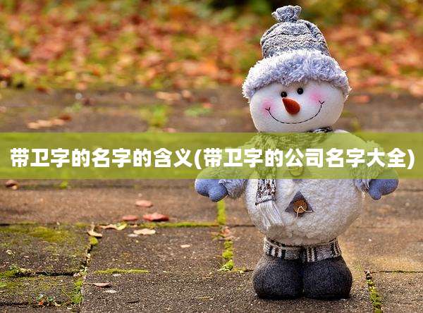 带卫字的名字的含义(带卫字的公司名字大全)
