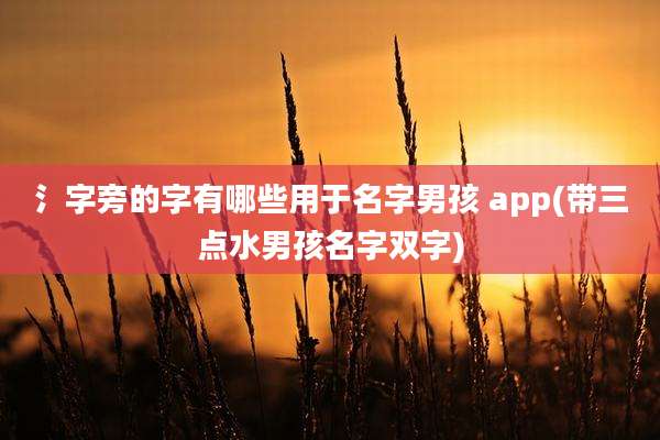 氵字旁的字有哪些用于名字男孩 app(带三点水男孩名字双字)