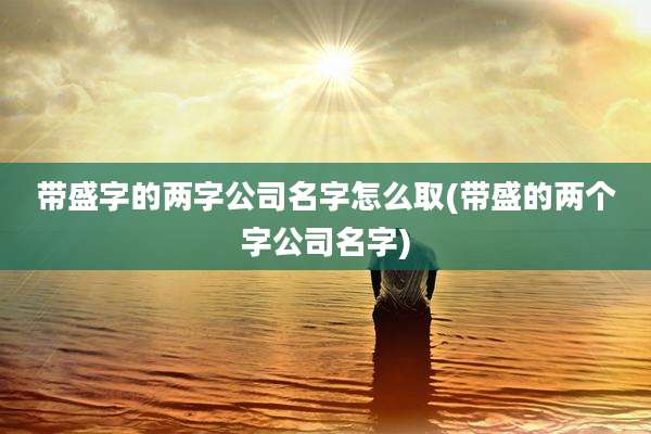 带盛字的两字公司名字怎么取(带盛的两个字公司名字)