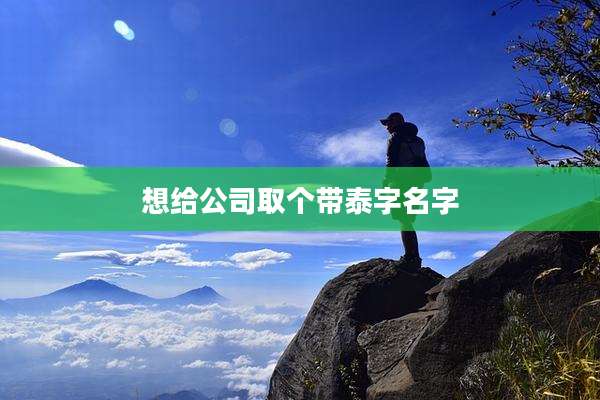 想给公司取个带泰字名字