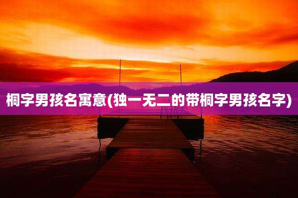 桐字男孩名寓意(独一无二的带桐字男孩名字)