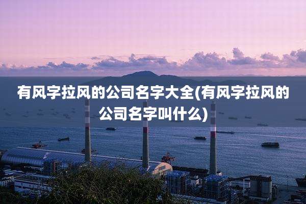 有风字拉风的公司名字大全(有风字拉风的公司名字叫什么)