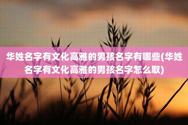 华姓名字有文化高雅的男孩名字有哪些(华姓名字有文化高雅的男孩名字怎么取)