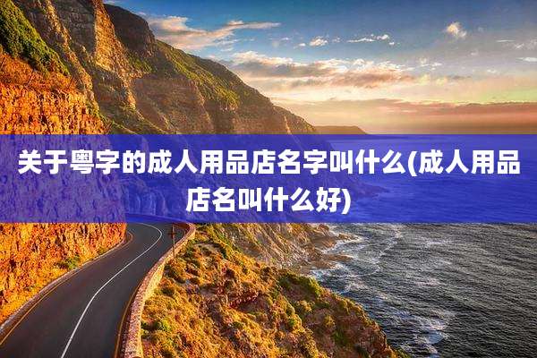 关于粤字的成人用品店名字叫什么(成人用品店名叫什么好)