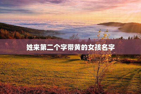 姓来第二个字带黄的女孩名字
