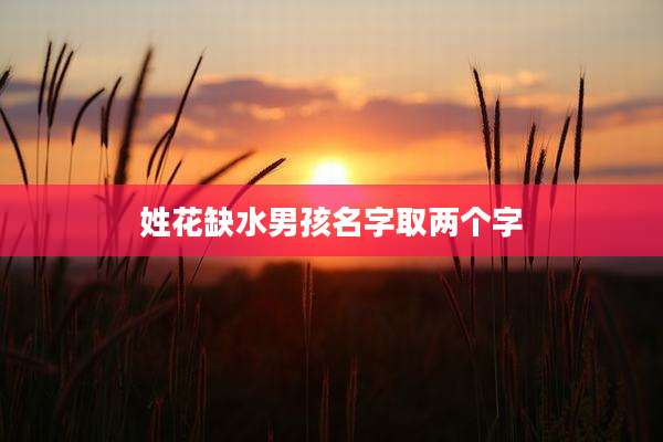 姓花缺水男孩名字取两个字