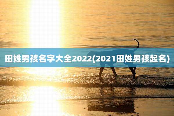 田姓男孩名字大全2022(2021田姓男孩起名)