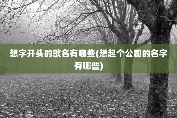 想字开头的歌名有哪些(想起个公司的名字有哪些)